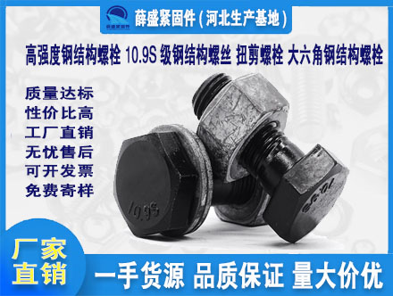 高強度鋼結構螺栓 10.9S級鋼結構螺絲 扭剪螺栓 大六角鋼結構螺栓